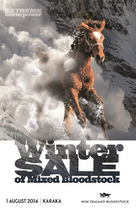 NZB Winter Sale COVER